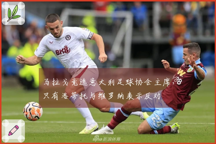 马拉戈竞选意大利足球协会主席，只有洛蒂托与维罗纳表示反对